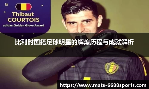 比利时国籍足球明星的辉煌历程与成就解析