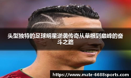 6688体育官网
